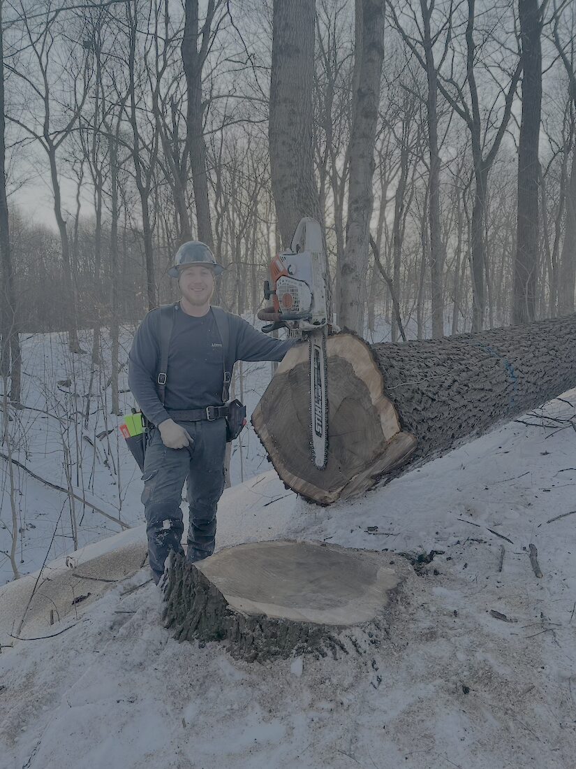 On the saw