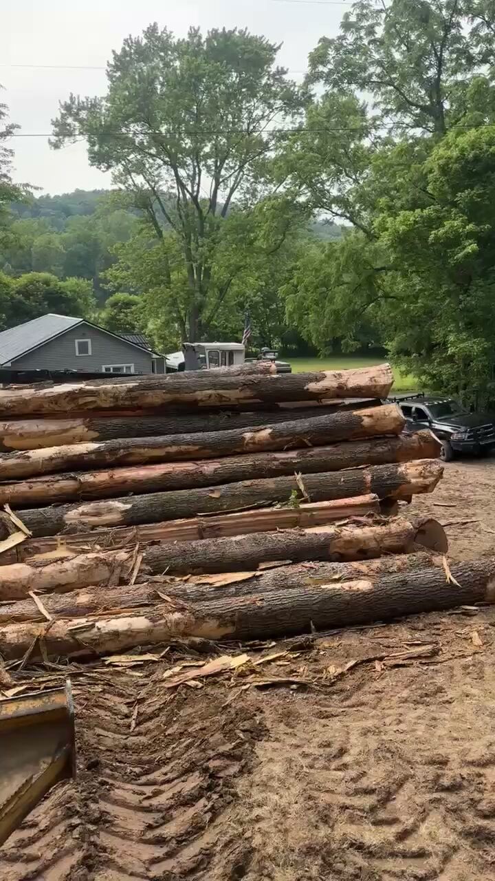 From the field — clip 02